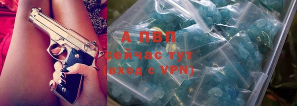 прущие грибы Осинники