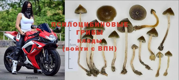 spice Алексеевка