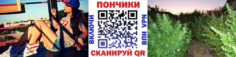 где продают   Белово  Марихуана THC 21% 